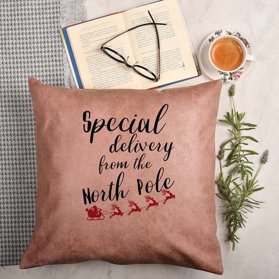 From North Pole - Premium Μαξιλάρι Με Γέμιση Σάπιο Μήλο Δερματίνη