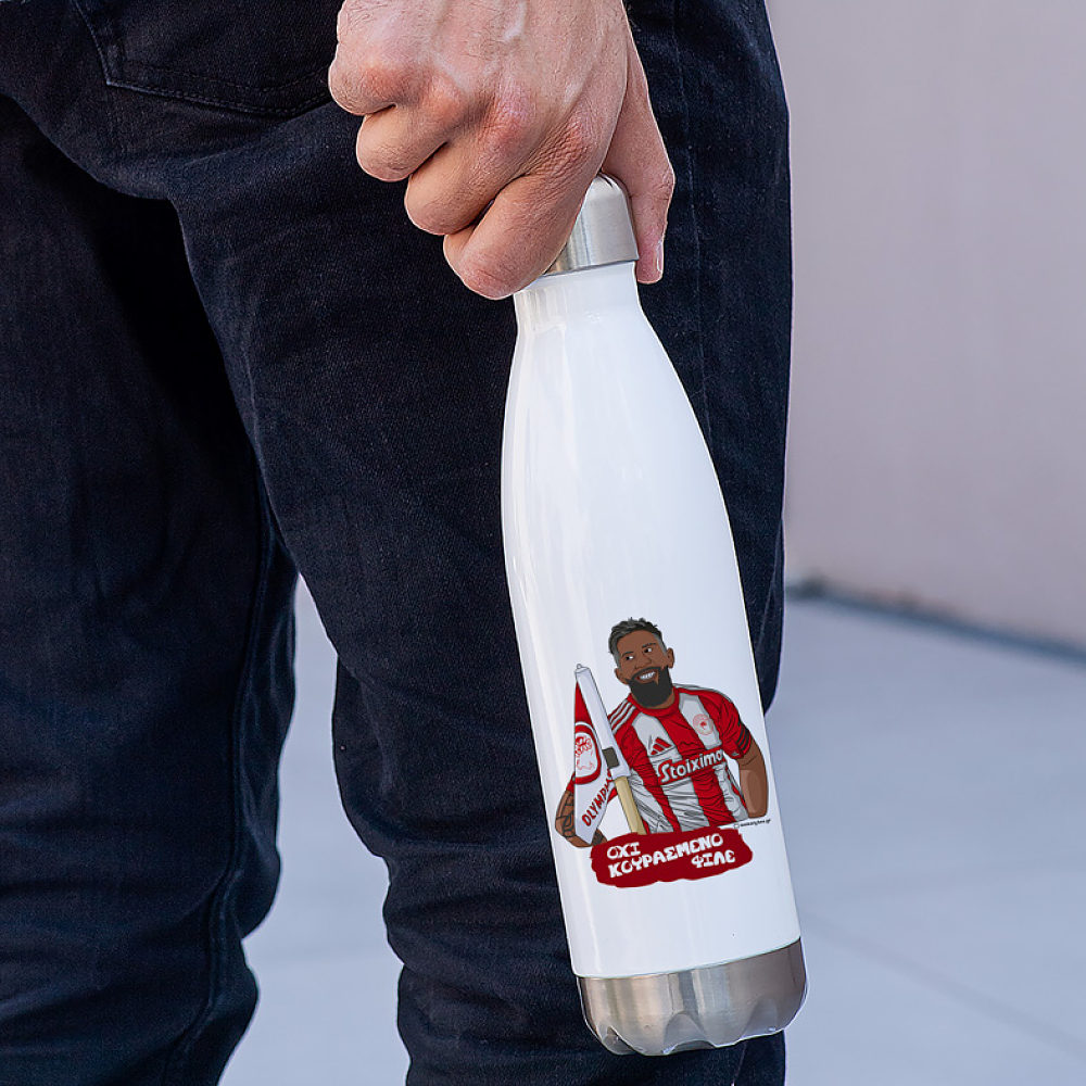 Ροντινέι "Όχι Κουρασμένο Φίλε" - Μπουκάλι Θερμός 500ml MemoryBox