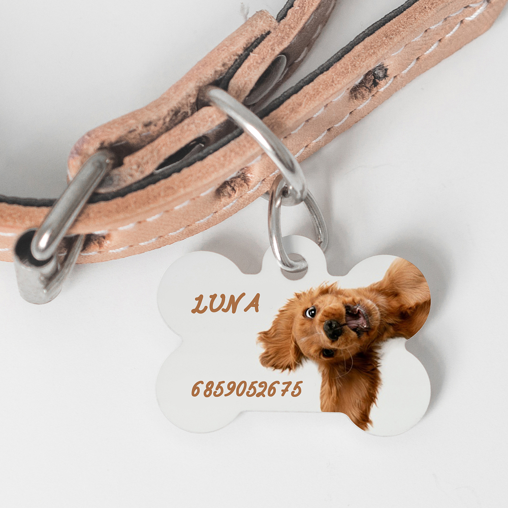 My Pet - Ταυτότητα Κατοικιδίου