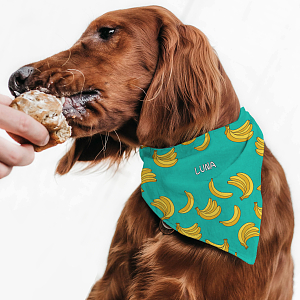 Bananas - Μπαντάνα