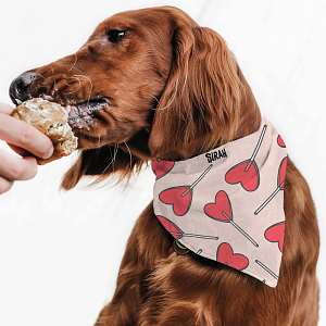 Pink Lolipops - Μπαντάνα