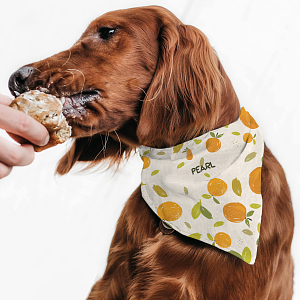 Pastel Oranges - Μπαντάνα