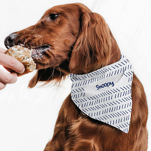 Blue Lines - Μπαντάνα