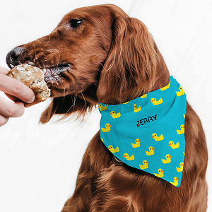 Duckies - Μπαντάνα