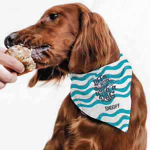 Sea Waves -  Μπαντάνα