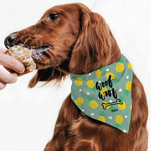 Woof Woof Green - Μπαντάνα
