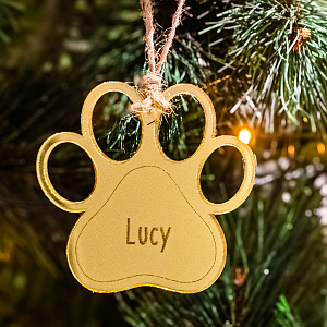 Πατούσα - Στολίδι από plexiglass