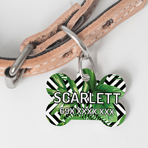 Φοίνηκας - Ταυτότητα Κατοικιδίου