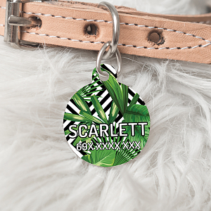 Φοίνηκας - Ταυτότητα Κατοικιδίου