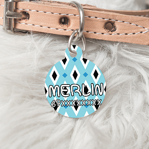 Μπλε Καρό - Ταυτότητα Κατοικιδίου