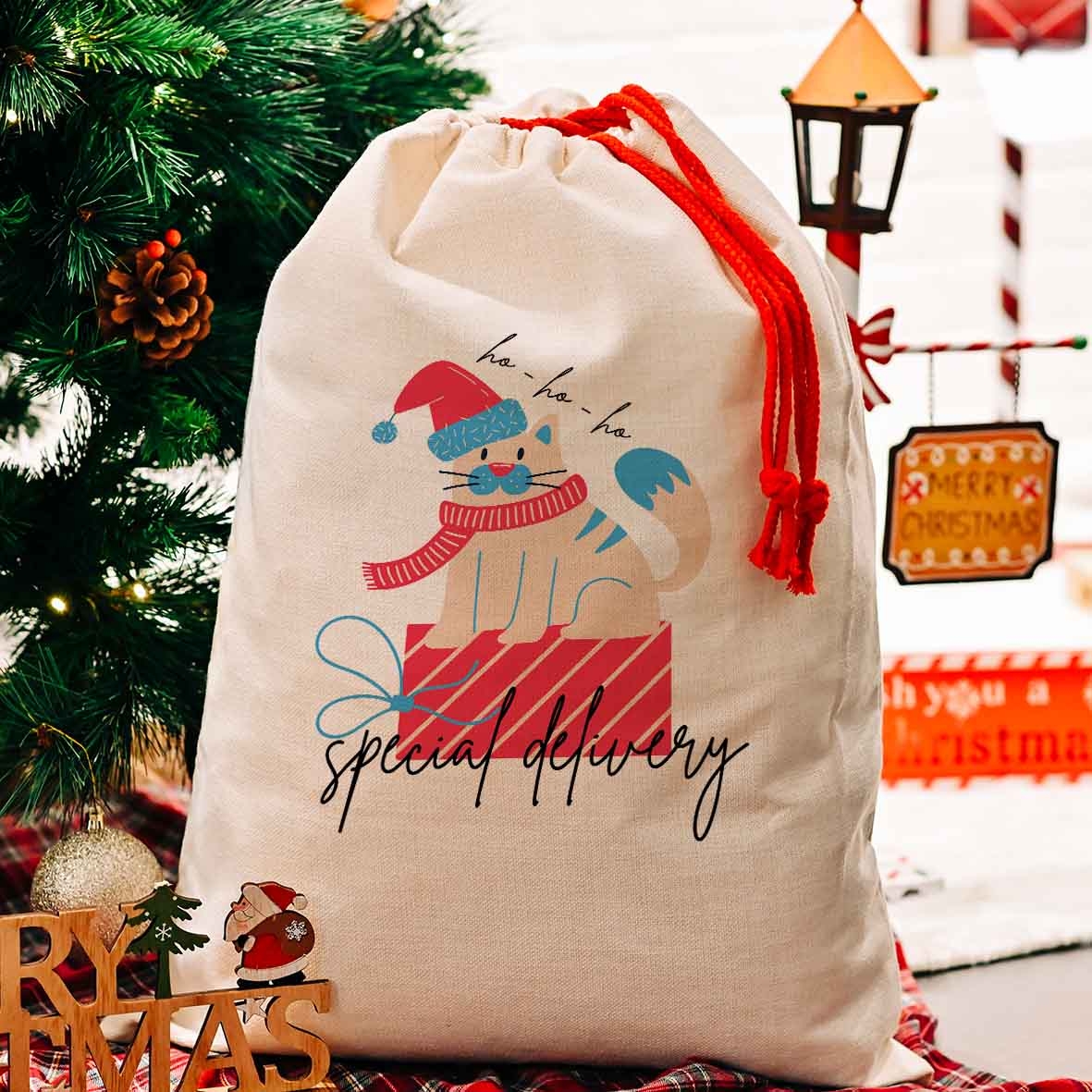 Cat Special Delivery - Σάκος Δώρων