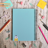 Λευκή Αρκούδα - Σημειωματάριο