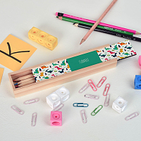 Δεινόσαυροι - Κασετίνα Ξύλινη με Ξυλομπογιές