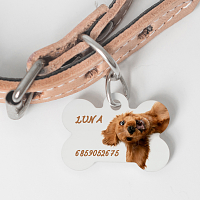 My Pet - Ταυτότητα Κατοικιδίου