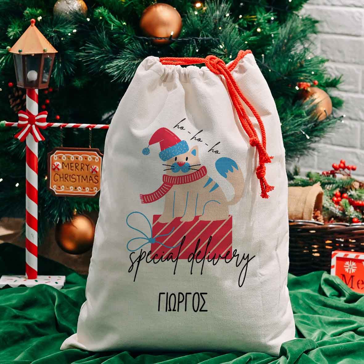 Cat Special Delivery - Σάκος Δώρων