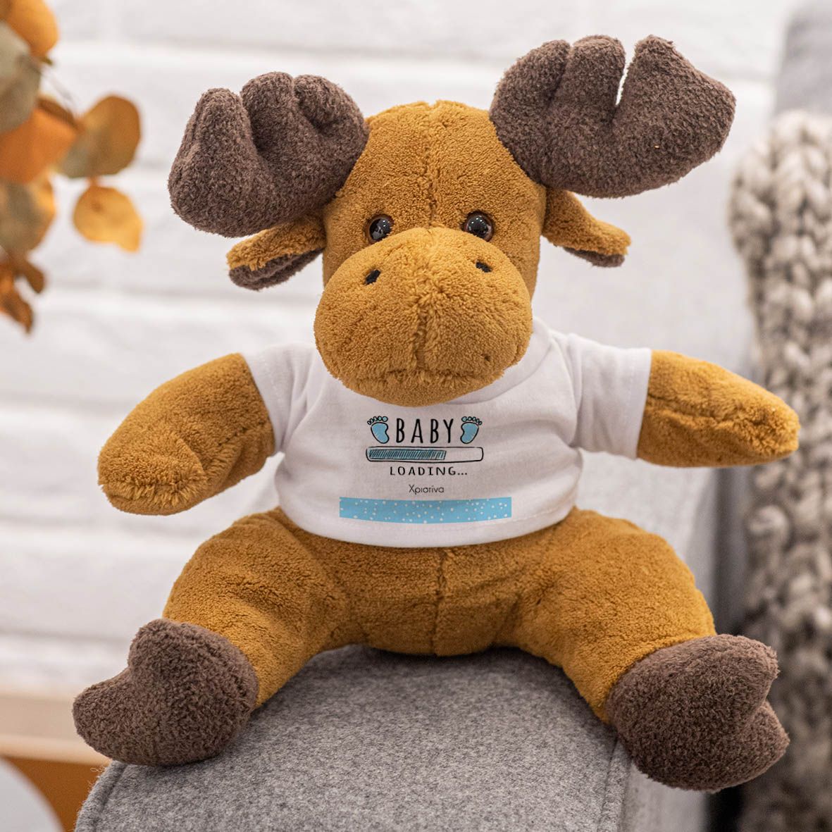 Baby Boy Loading - Λούτρινο