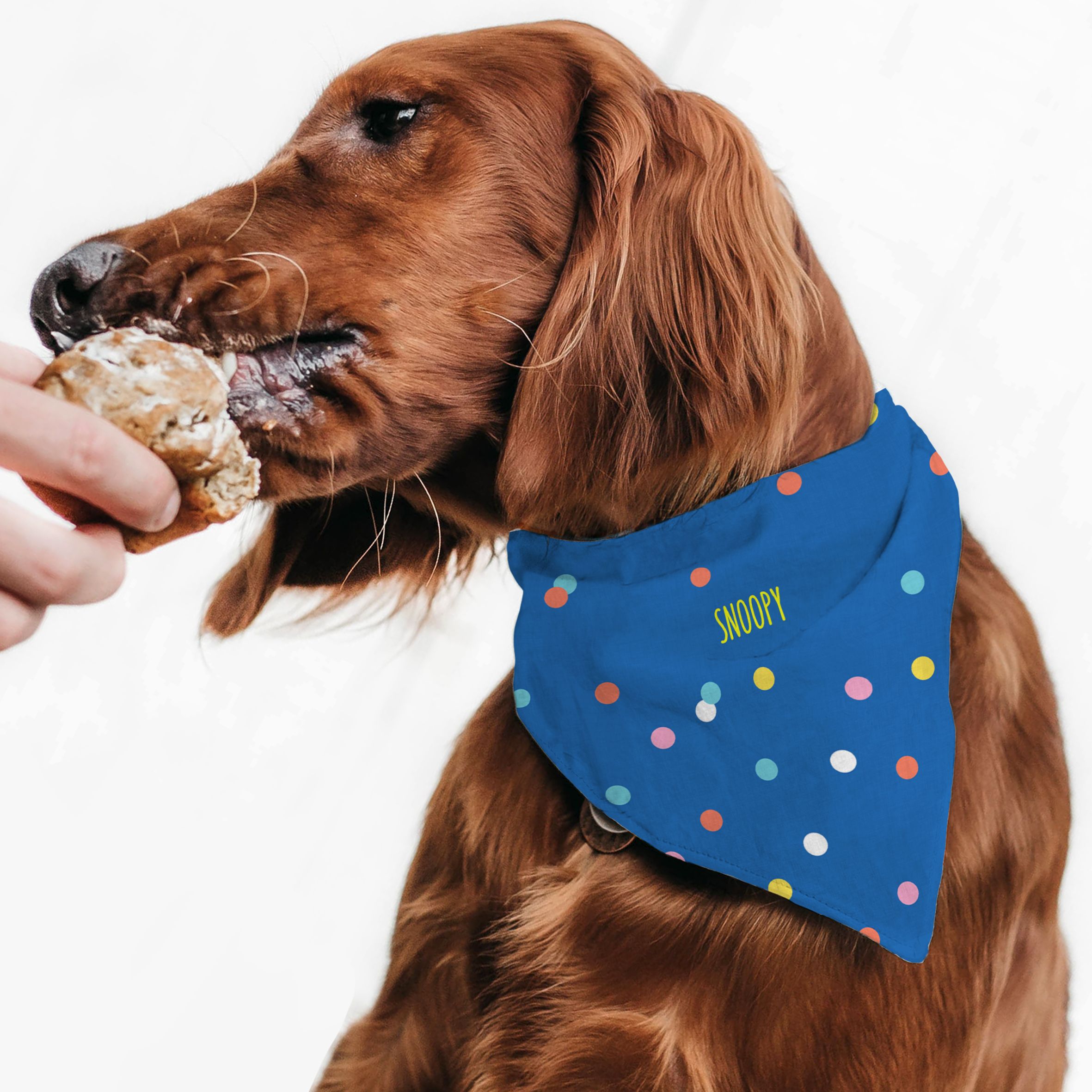 Colourful Dots - Μπαντάνα