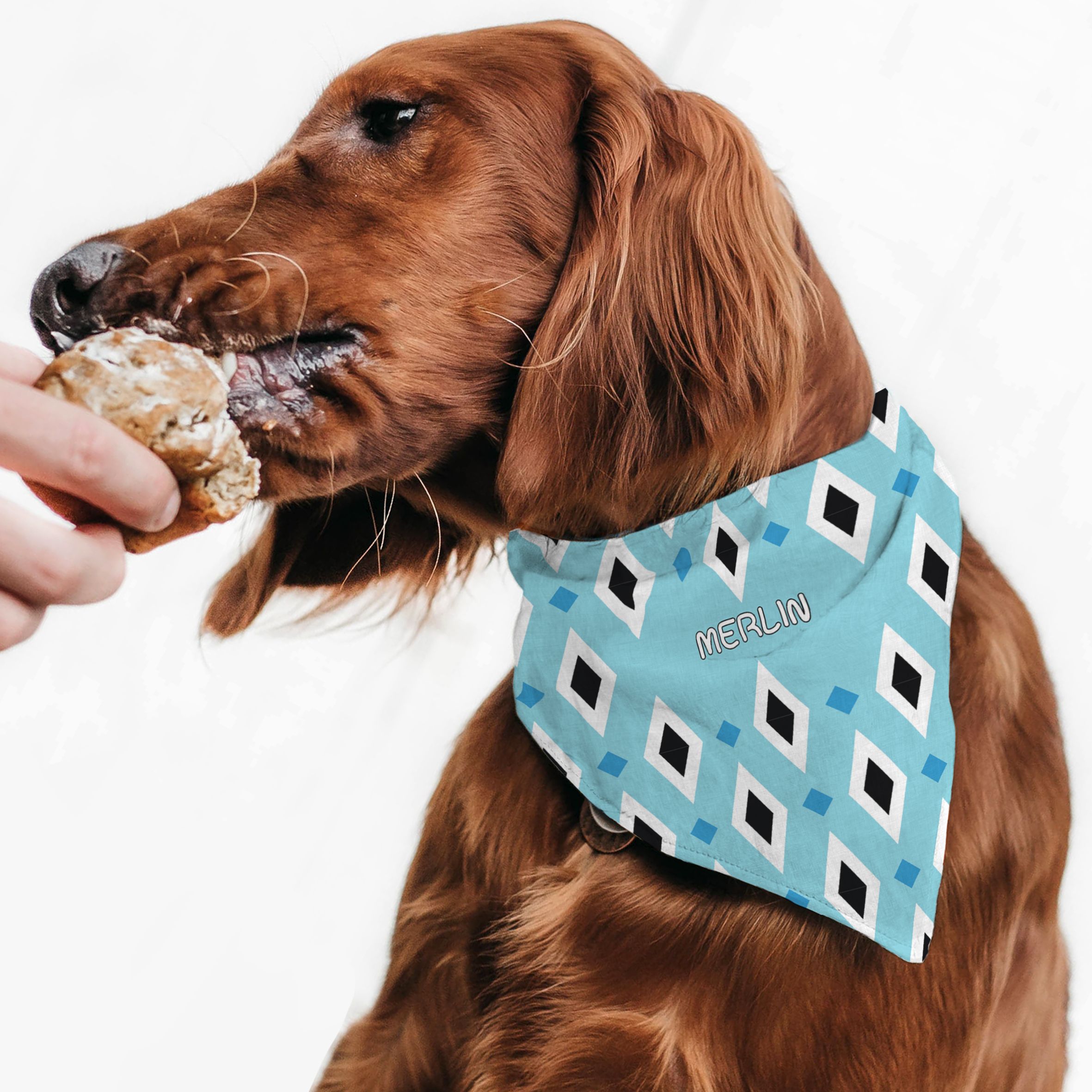 Μπλε Καρό - Μπαντάνα