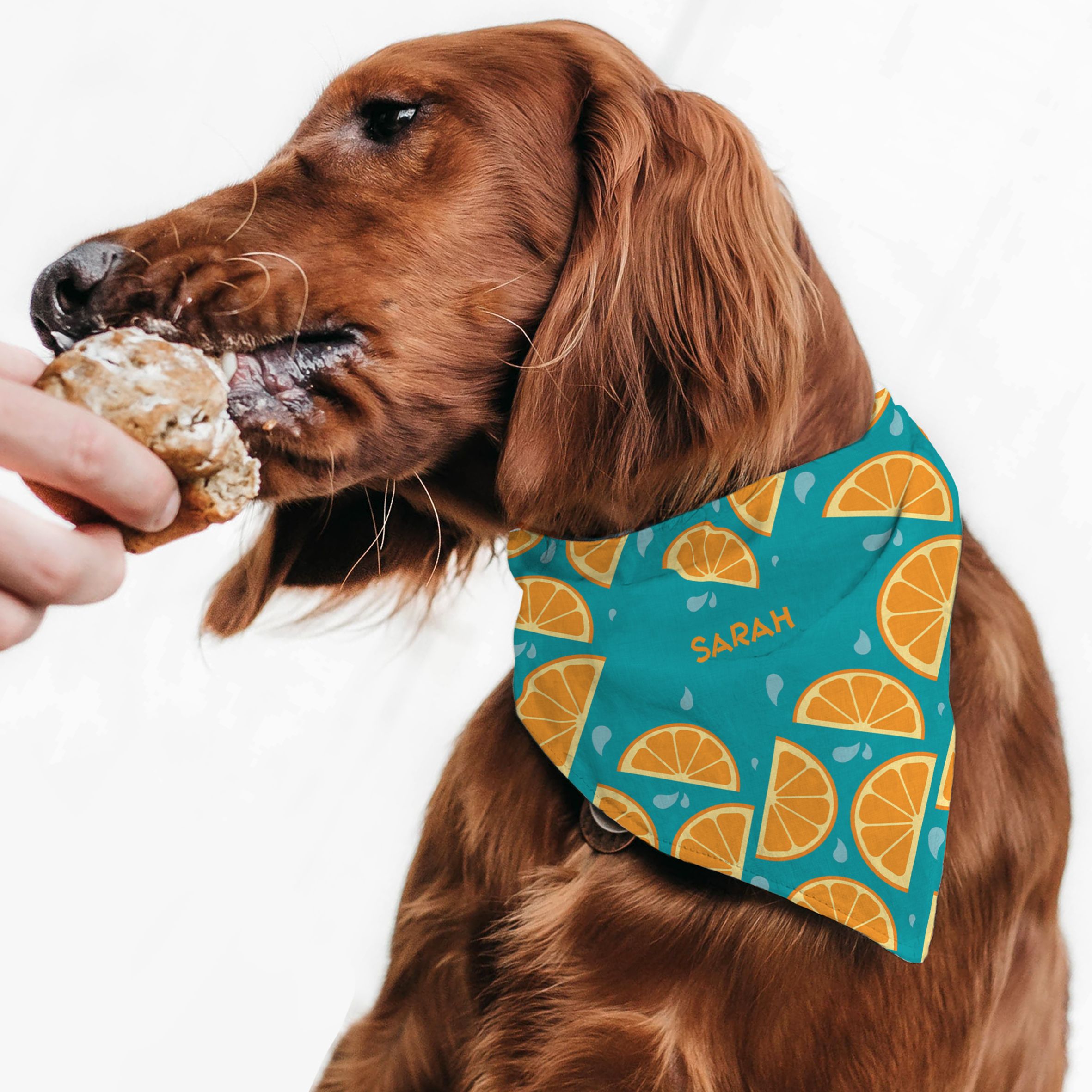 Oranges - Μπαντάνα