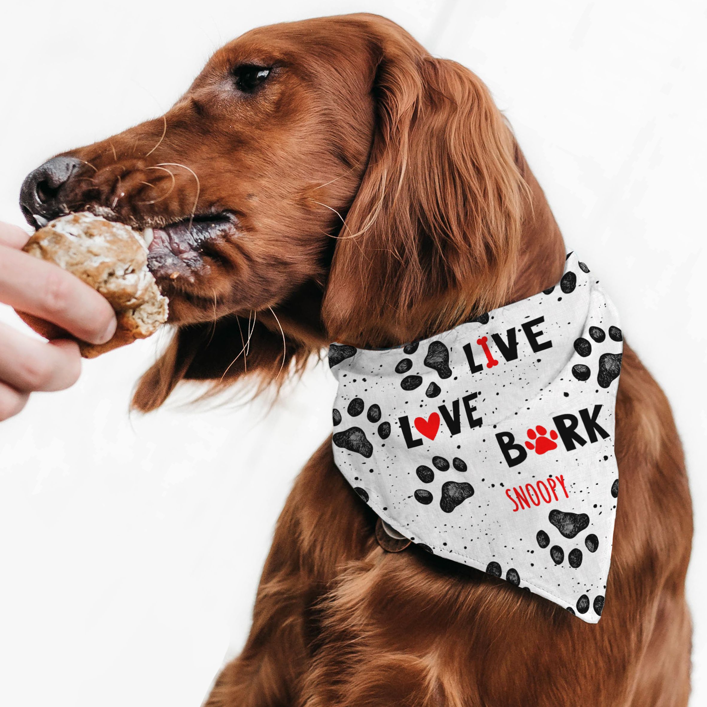 Paws Prints - Μπαντάνα