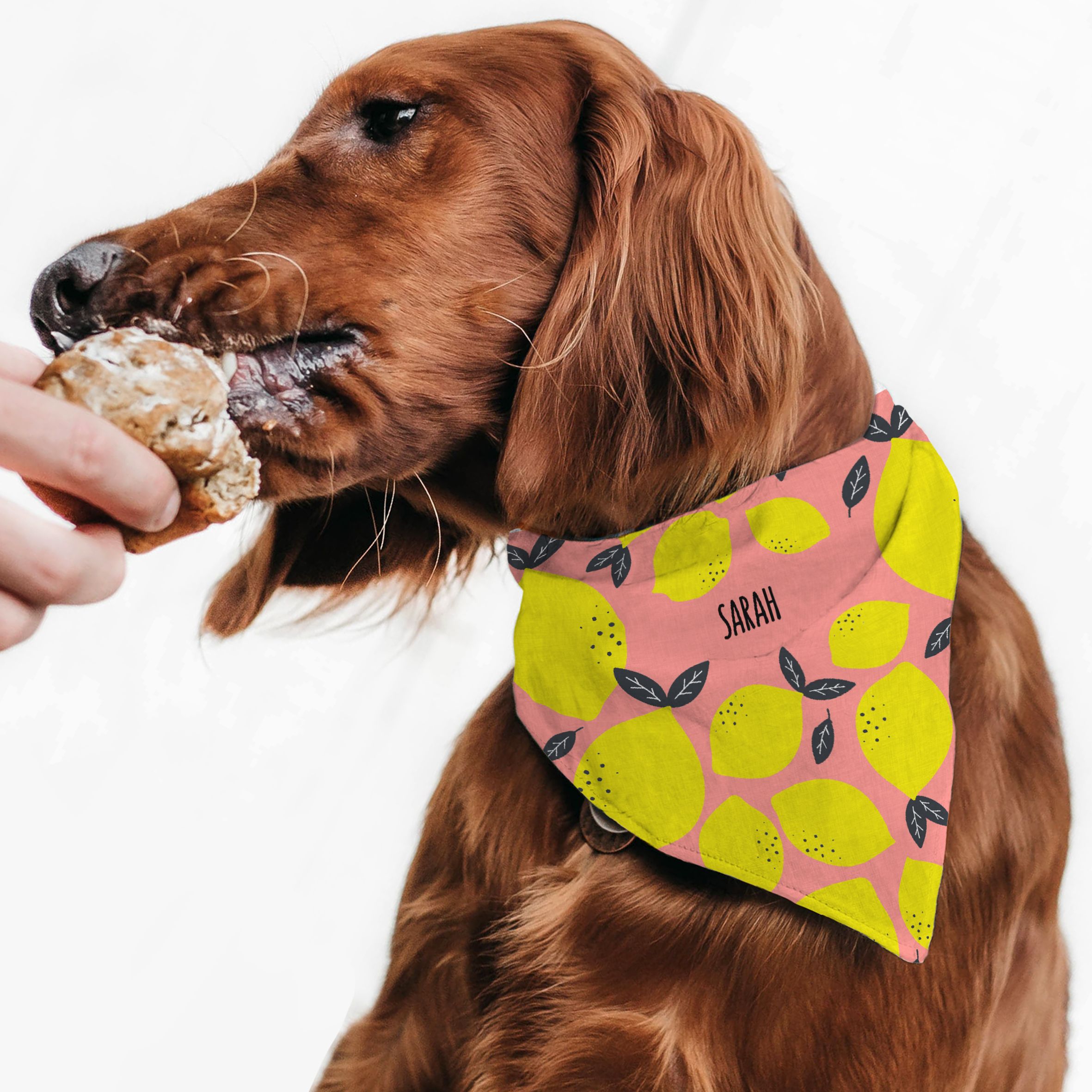 Pink Lemons - Μπαντάνα