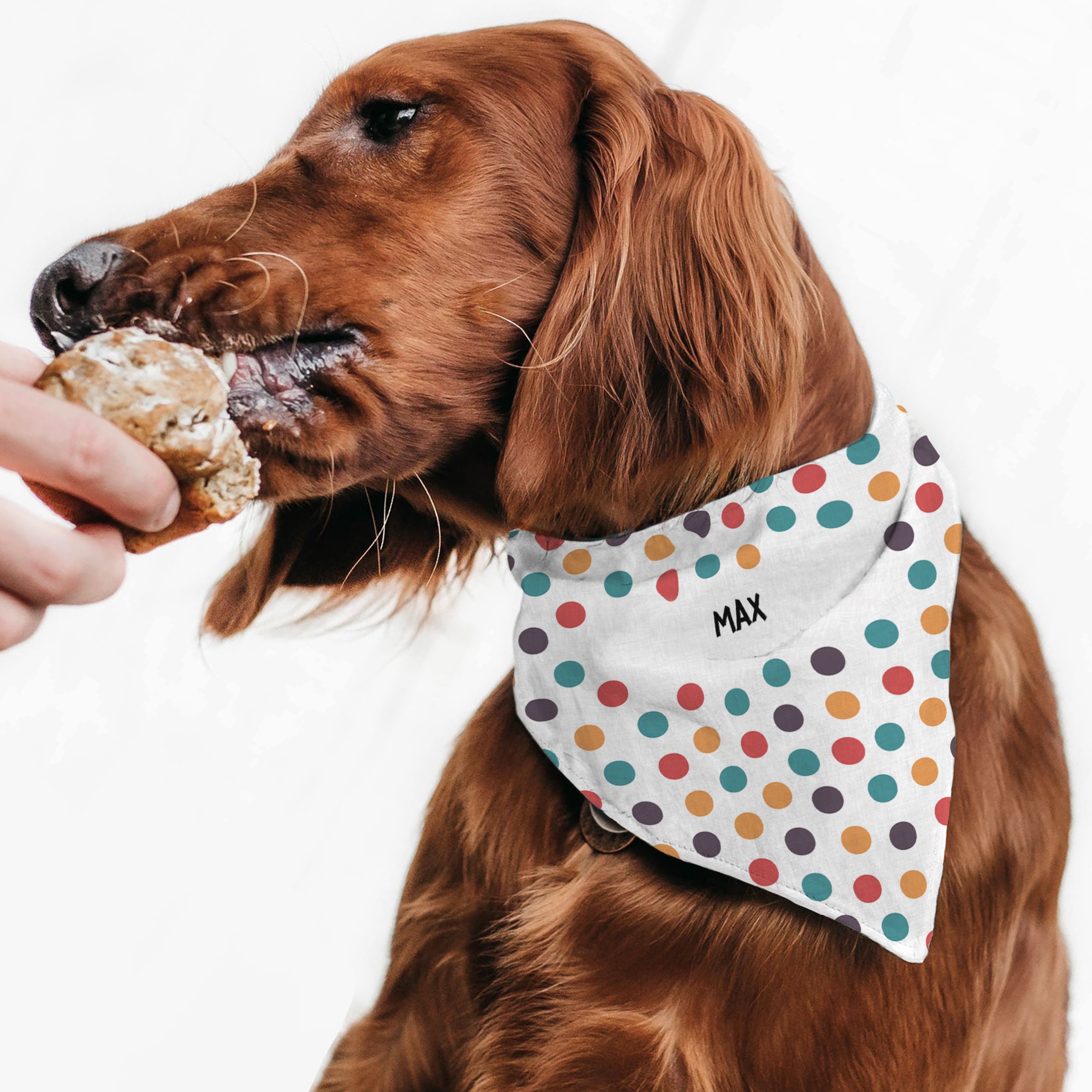 Multi Colors - Μπαντάνα