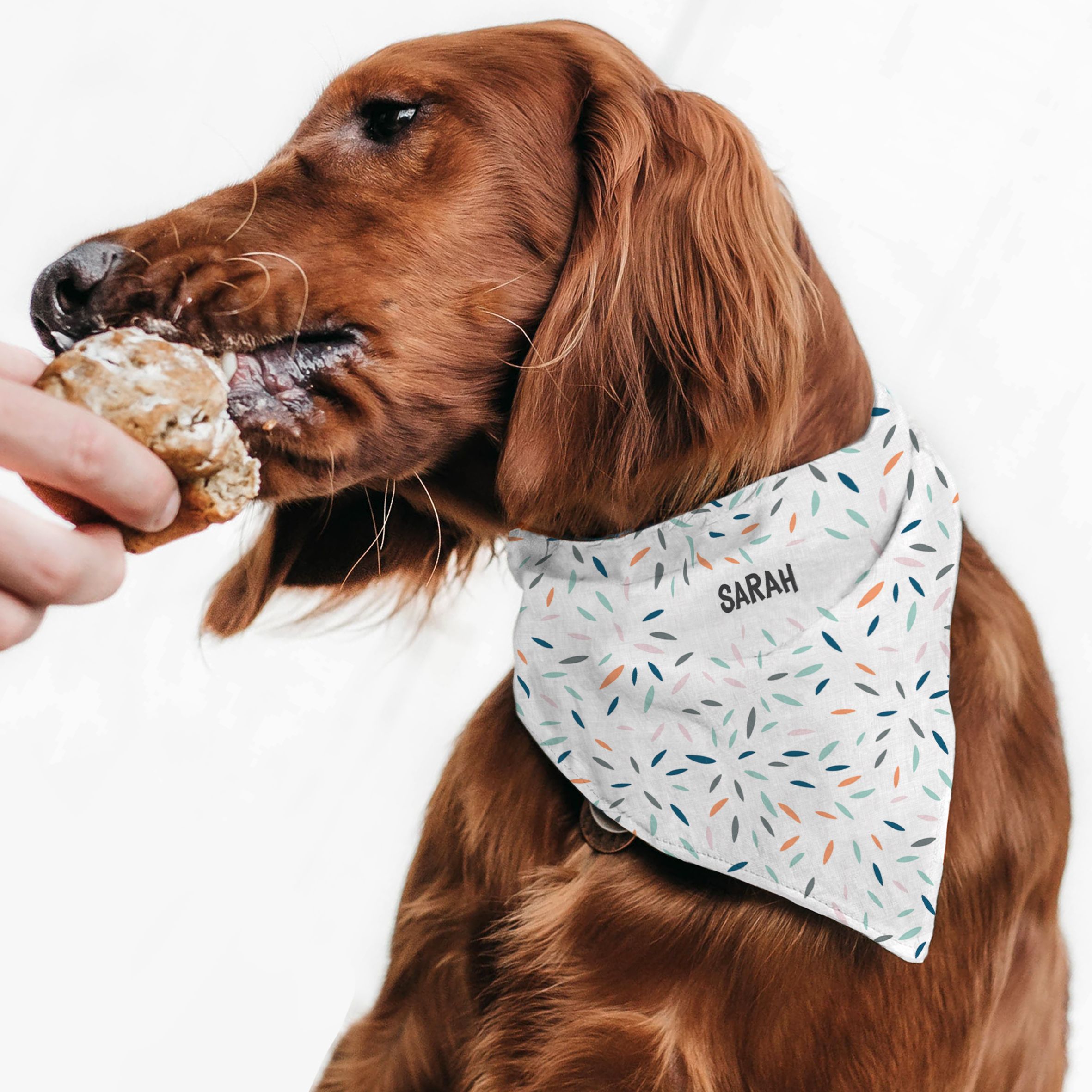 Leaves - Μπαντάνα