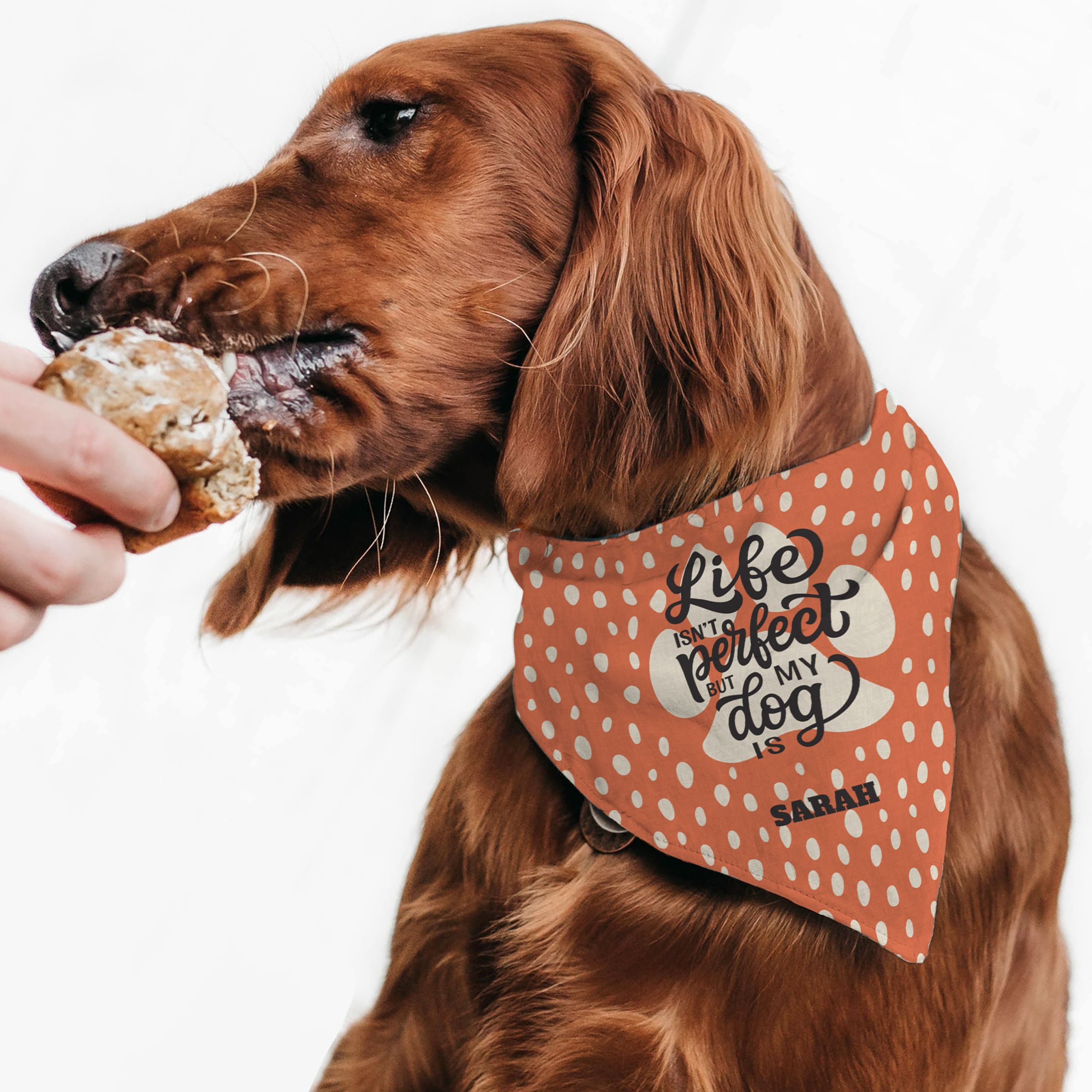 Brown Dots - Μπαντάνα