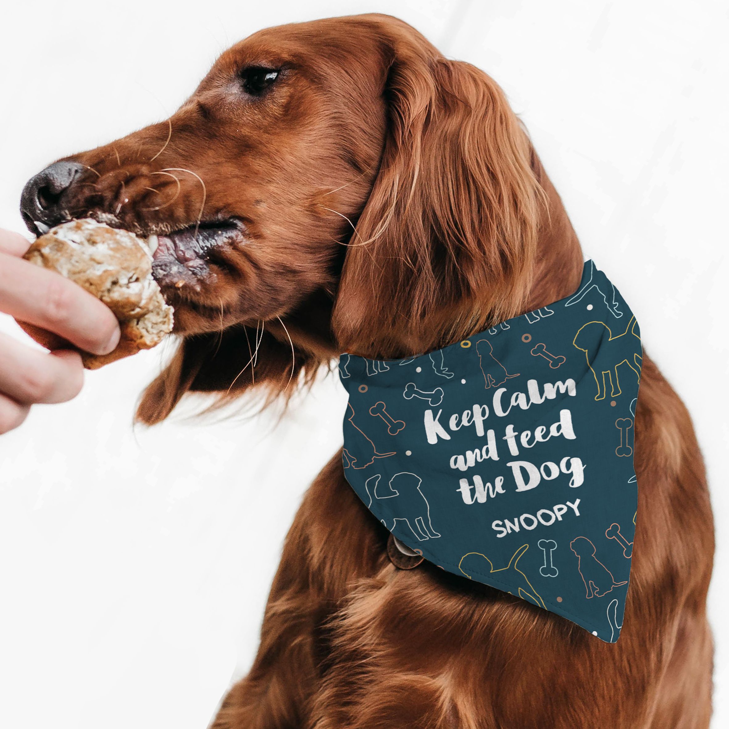 Doggies - Μπαντάνα