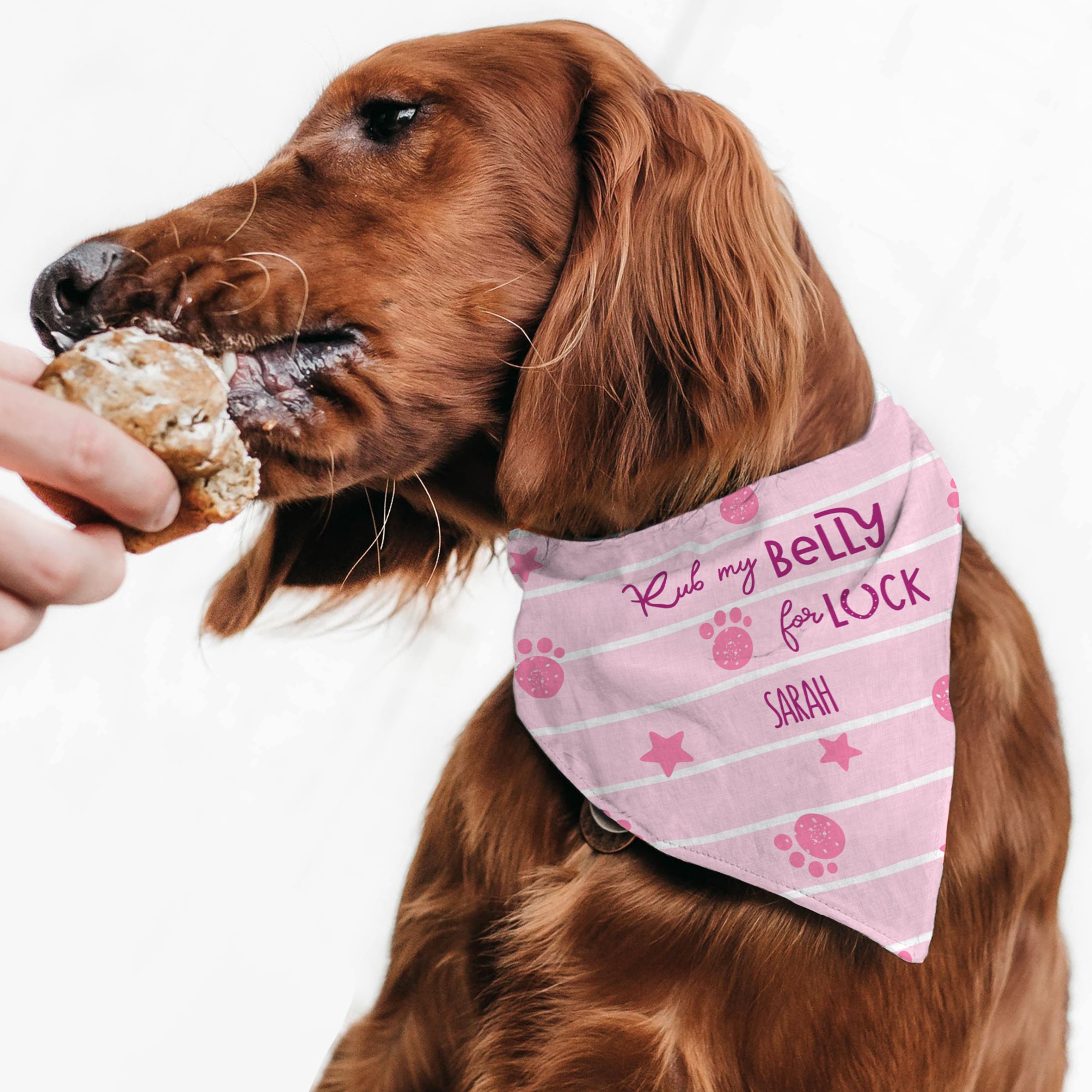 Pink Paws - Μπαντάνα