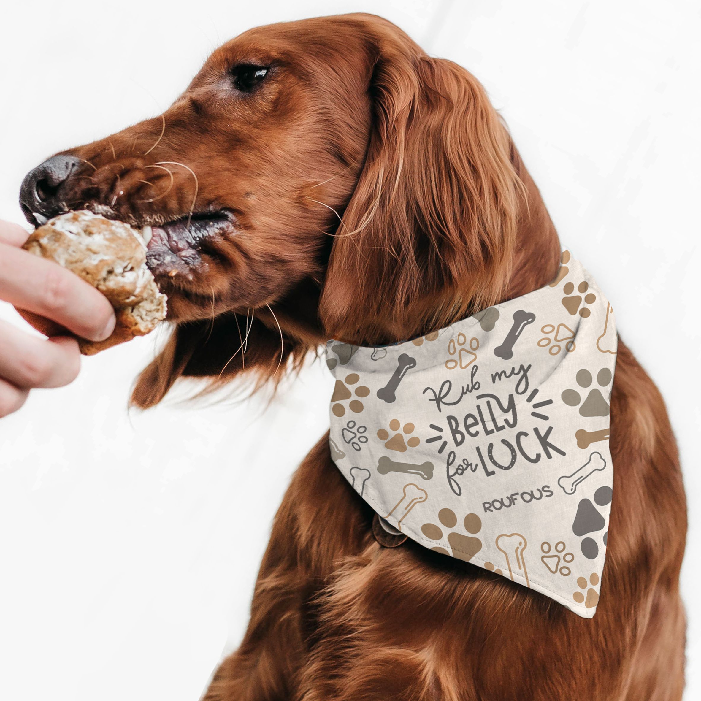 Puppy Paws - Μπαντάνα