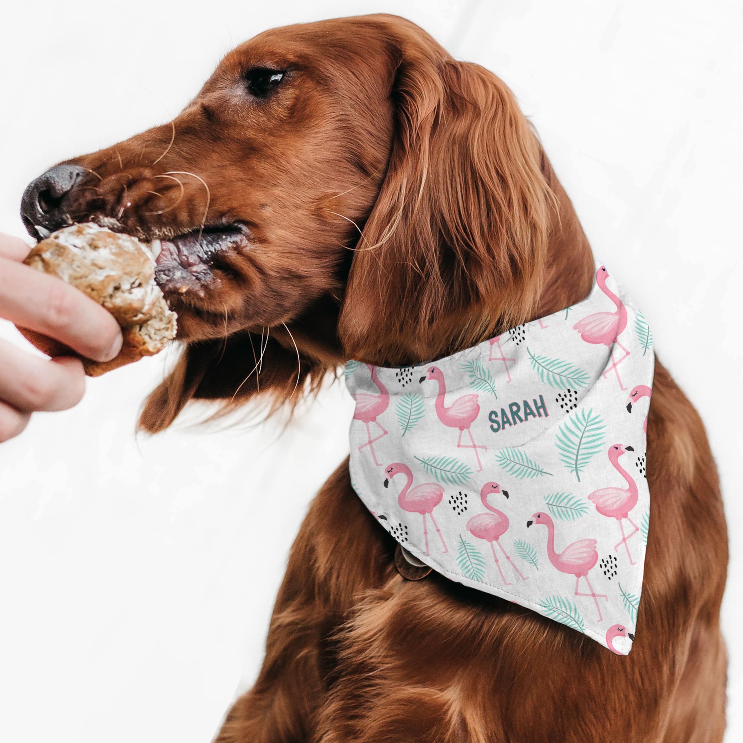 Flamingo- Μπαντάνα