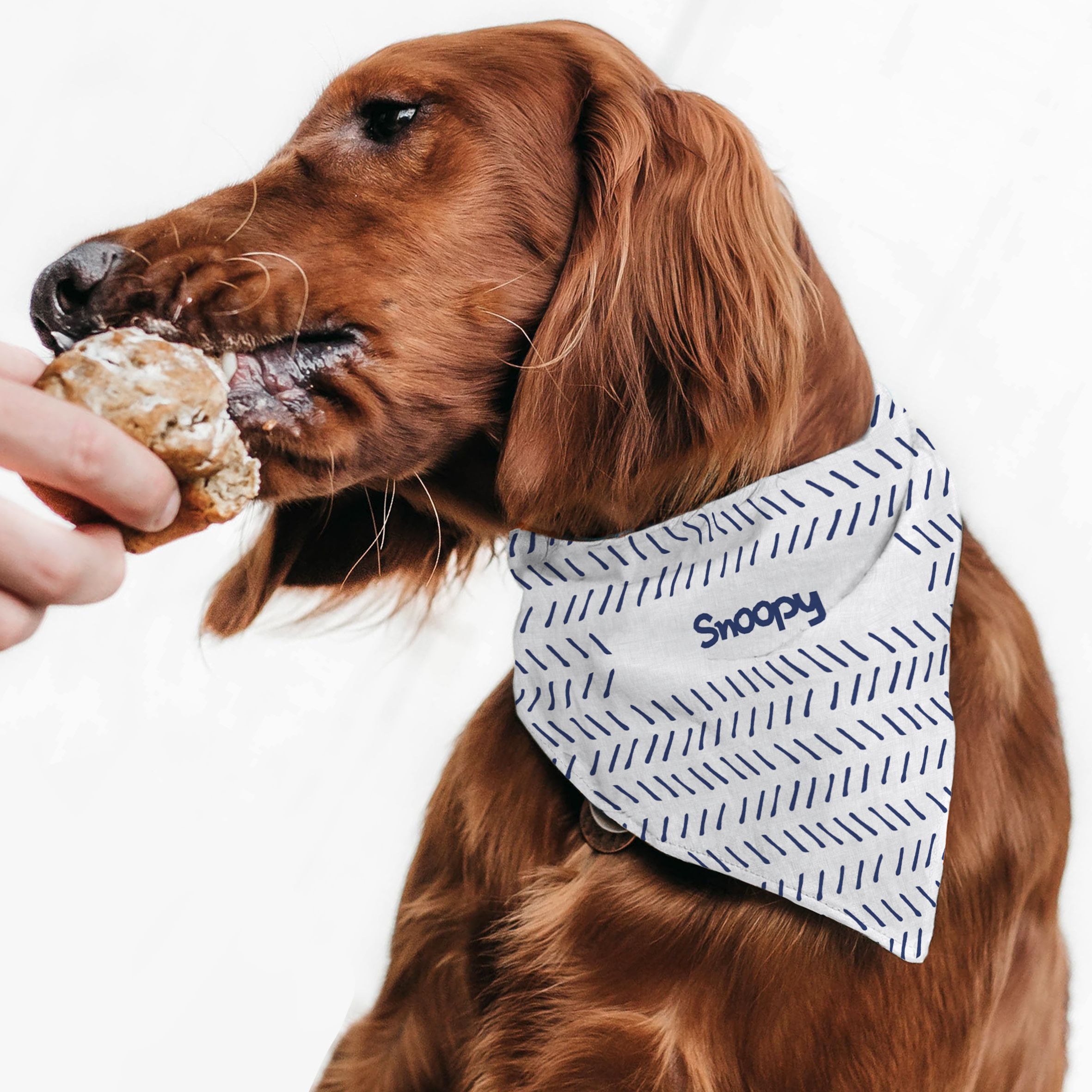 Blue Lines - Μπαντάνα