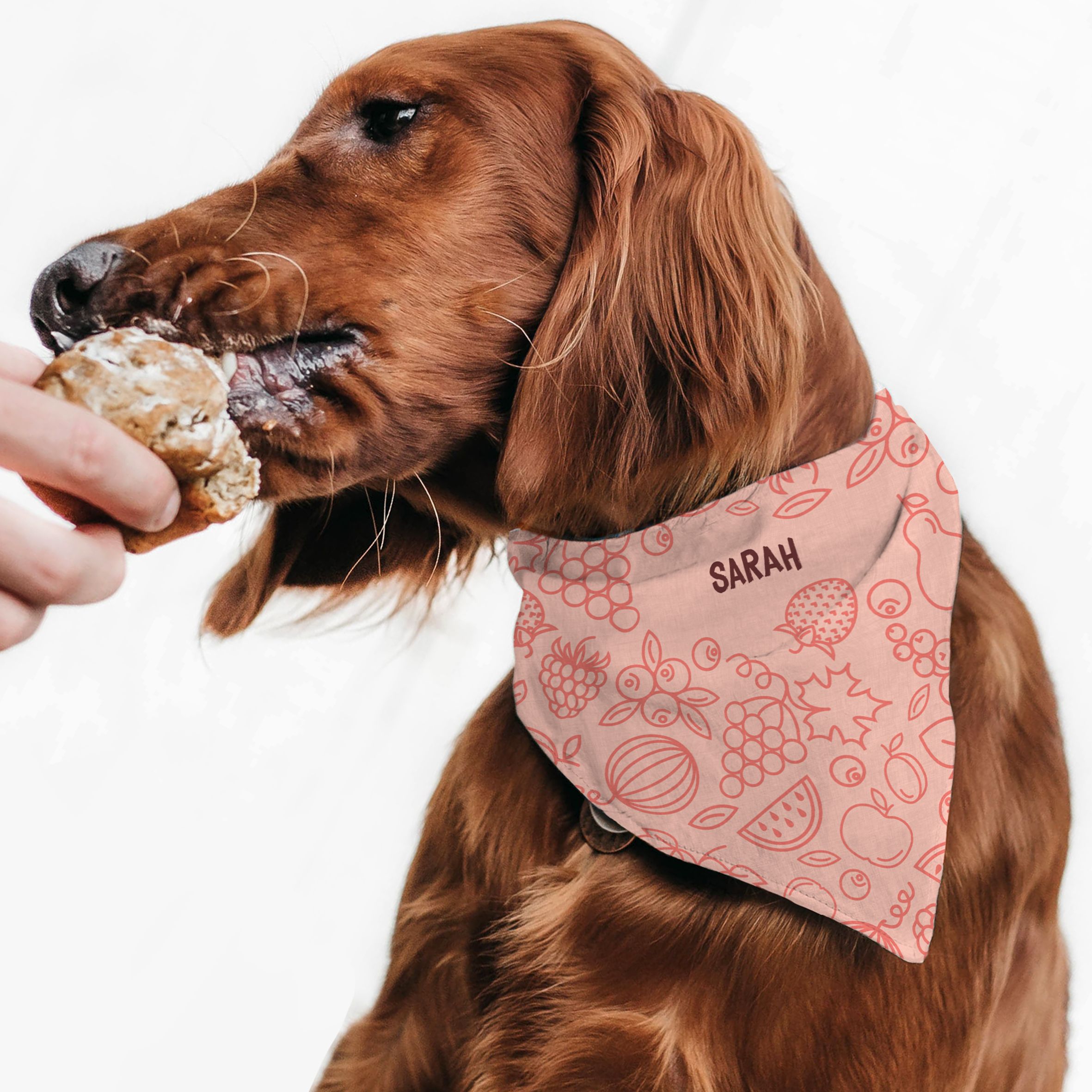 Red Pinky Fruity - Μπαντάνα