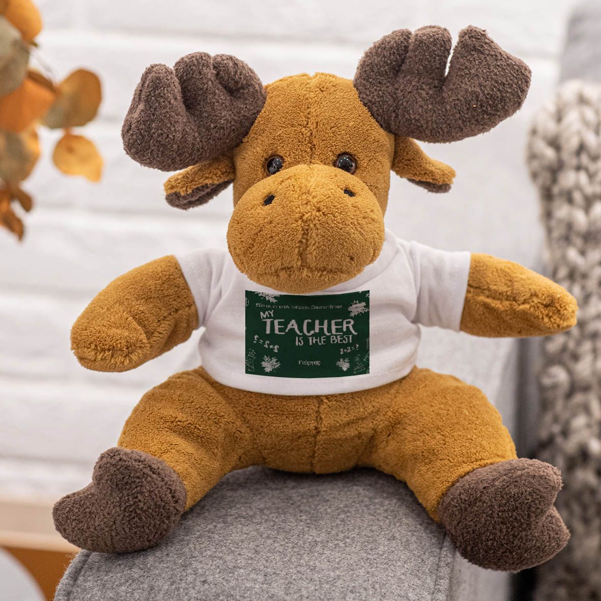 My Teacher Is The Best - Λούτρινο