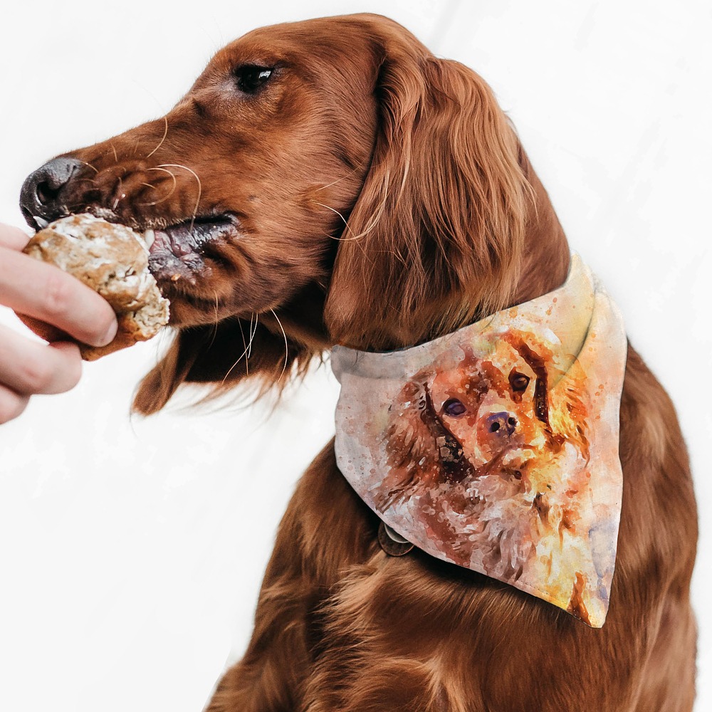 Μπαντάνα Κατοικιδίου